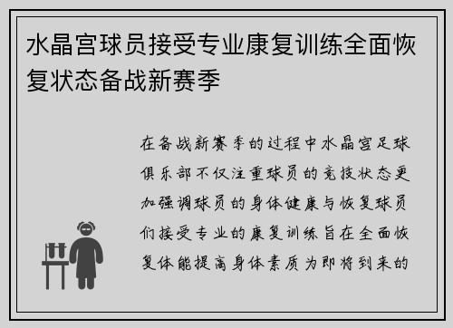 水晶宫球员接受专业康复训练全面恢复状态备战新赛季